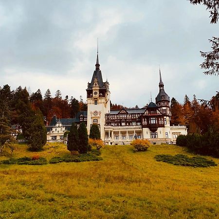 Wood Studio Sinaia Exterior photo